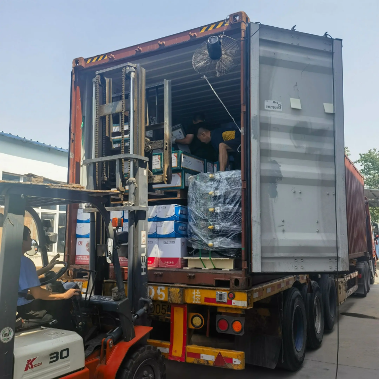 സ്കയോണ്ട് ഹെവി ട്രക്ക് ഭാഗങ്ങൾ - ഡ്രൈവ് ഈസി, എല്ലായിടത്തും വിശ്വസനീയം!